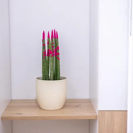 Lägenhet Imperial *